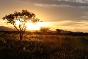 Djoser_Namibia_Botswana_Simbabwe_Sundowner