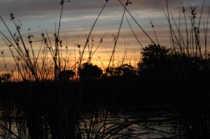 djoser_Okavangodelta (3)